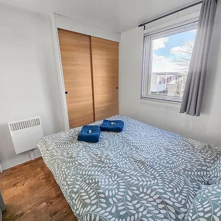 L'orchidee Des Bois
